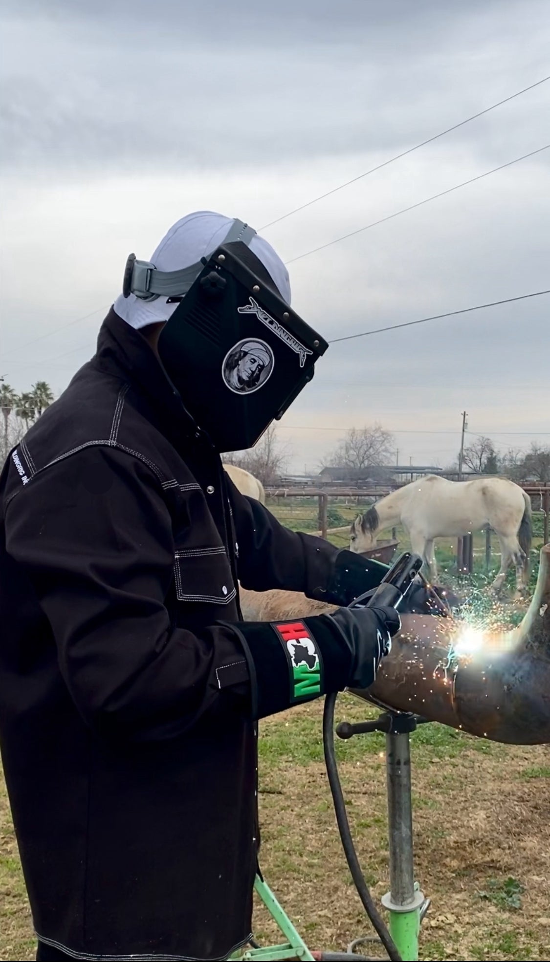 Mexico Edition Gloves